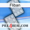 Fliban 17